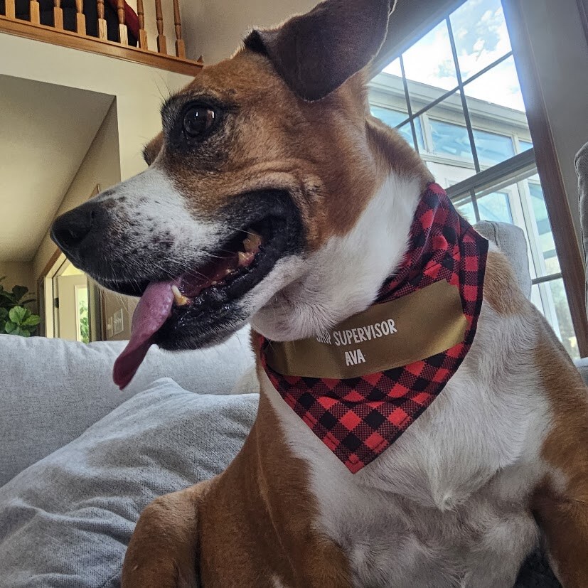 Ava wearing a red plaid bandana and a tag reading Shop Supervisor Ava